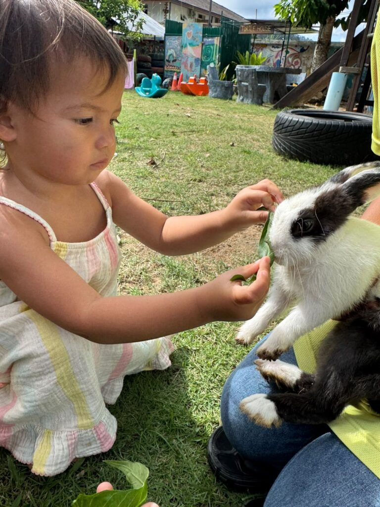Young child gently feeding a rabbit at Shining Stars Kindergarten in Kamala, Phuket